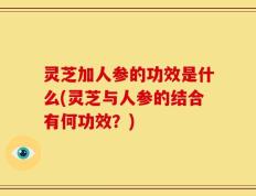 灵芝加人参的功效是什么(灵芝与人参的结合有何功效？)