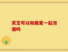 灵芝可以和鹿茸一起泡酒吗
