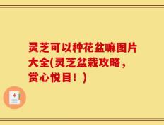 灵芝可以种花盆嘛图片大全(灵芝盆栽攻略，赏心悦目！)
