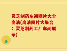 灵芝制药车间图片大全高清(高清图片大集合：灵芝制药工厂车间展示)