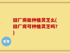 旧厂房能种植灵芝么(旧厂房可种植灵芝吗？)