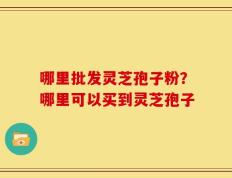 哪里批发灵芝孢子粉？哪里可以买到灵芝孢子