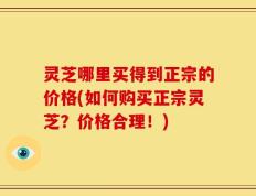 灵芝哪里买得到正宗的价格(如何购买正宗灵芝？价格合理！)