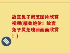 故宫兔子灵芝图片欣赏视频(精美绝伦！故宫兔子灵芝瑰丽画面欣赏！)