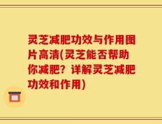 灵芝减肥功效与作用图片高清(灵芝能否帮助你减肥？详解灵芝减肥功效和作用)