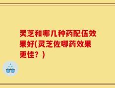灵芝和哪几种药配伍效果好(灵芝佐哪药效果更佳？)