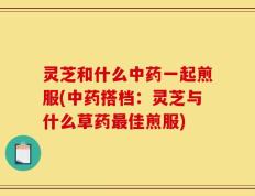 灵芝和什么中药一起煎服(中药搭档：灵芝与什么草药最佳煎服)
