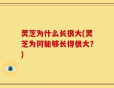 灵芝为什么长很大(灵芝为何能够长得很大？)