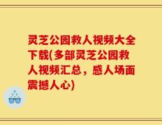 灵芝公园救人视频大全下载(多部灵芝公园救人视频汇总，感人场面震撼人心)