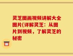灵芝图画视频讲解大全图片(详解灵芝：从图片到视频，了解灵芝的秘密