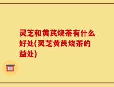 灵芝和黄芪烧茶有什么好处(灵芝黄芪烧茶的益处)