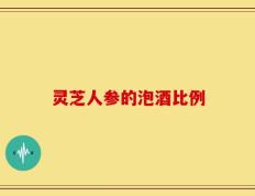 灵芝人参的泡酒比例