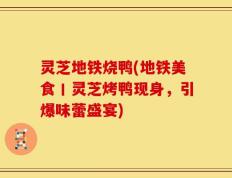 灵芝地铁烧鸭(地铁美食丨灵芝烤鸭现身，引爆味蕾盛宴)