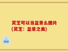 灵芝可以当盆景么图片(灵芝：盆景之美)