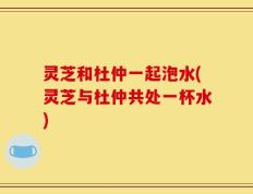 灵芝和杜仲一起泡水(灵芝与杜仲共处一杯水)