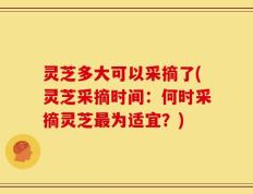 灵芝多大可以采摘了(灵芝采摘时间：何时采摘灵芝最为适宜？)