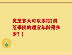 灵芝多大可以采挖(灵芝采摘的适宜年龄是多少？)