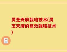 灵芝天麻栽培技术(灵芝天麻的高效栽培技术)
