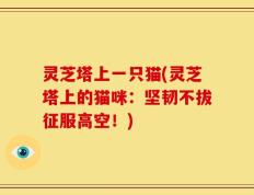 灵芝塔上一只猫(灵芝塔上的猫咪：坚韧不拔征服高空！)