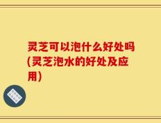 灵芝可以泡什么好处吗(灵芝泡水的好处及应用)