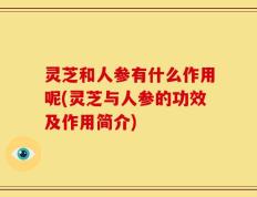 灵芝和人参有什么作用呢(灵芝与人参的功效及作用简介)