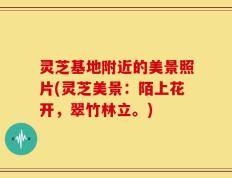灵芝基地附近的美景照片(灵芝美景：陌上花开，翠竹林立。)