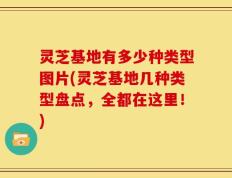 灵芝基地有多少种类型图片(灵芝基地几种类型盘点，全都在这里！)