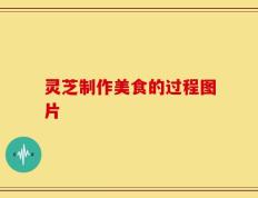 灵芝制作美食的过程图片