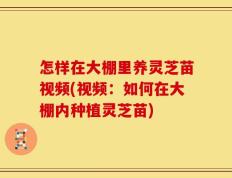 怎样在大棚里养灵芝苗视频(视频：如何在大棚内种植灵芝苗)