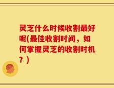 灵芝什么时候收割最好呢(最佳收割时间，如何掌握灵芝的收割时机？)