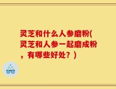 灵芝和什么人参磨粉(灵芝和人参一起磨成粉，有哪些好处？)