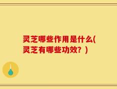 灵芝哪些作用是什么(灵芝有哪些功效？)