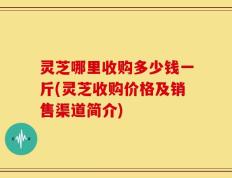 灵芝哪里收购多少钱一斤(灵芝收购价格及销售渠道简介)