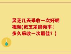 灵芝几天采收一次好呢视频(灵芝采摘频率：多久采收一次最佳？)