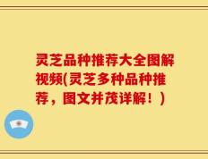 灵芝品种推荐大全图解视频(灵芝多种品种推荐，图文并茂详解！)