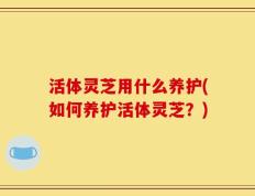 活体灵芝用什么养护(如何养护活体灵芝？)