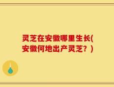 灵芝在安徽哪里生长(安徽何地出产灵芝？)