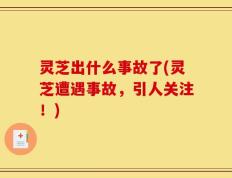 灵芝出什么事故了(灵芝遭遇事故，引人关注！)