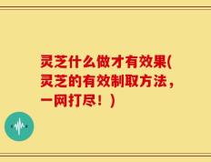 灵芝什么做才有效果(灵芝的有效制取方法，一网打尽！)