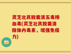 灵芝北芪胶囊清五毒排血毒(灵芝北芪胶囊清除体内毒素，增强免疫力)