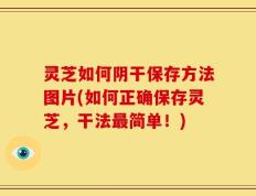 灵芝如何阴干保存方法图片(如何正确保存灵芝，干法最简单！)