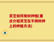 灵芝如何用树种植(重点介绍灵芝在不同树种上的种植方法)