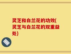 灵芝和白兰花的功效(灵芝与白兰花的双重益处)