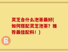 灵芝合什么泡茶最好(如何搭配灵芝泡茶？推荐最佳配料！)
