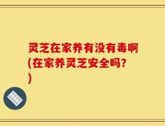 灵芝在家养有没有毒啊(在家养灵芝安全吗？)