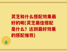 灵芝和什么搭配效果最好的呢(灵芝最佳搭配是什么？达到最好效果的搭配推荐)