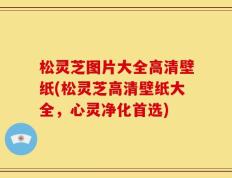 松灵芝图片大全高清壁纸(松灵芝高清壁纸大全，心灵净化首选)