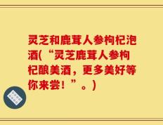灵芝和鹿茸人参枸杞泡酒(“灵芝鹿茸人参枸杞酿美酒，更多美好等你来尝！”。)