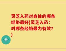 灵芝入药对身体的哪条经络最好(灵芝入药：对哪条经络最为有效？)