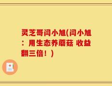 灵芝哥闫小旭(闫小旭：用生态养蘑菇 收益翻三倍！)